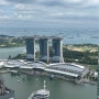 6박 8일 싱가포르 프리뷰