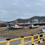 충남 서산 가볼만한 곳 삼길포항 맛집 회 뜨는 선상 삼길포항 우럭축제