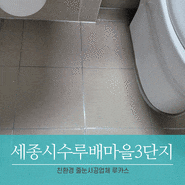 세종시줄눈 합리적인 비용으로 in 수루배마을3단지