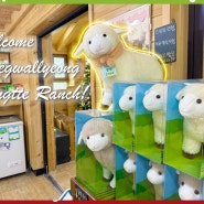 Welcome Daegwallyeong Yangtte Ranch!
