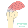 어깨 회전근개 힘줄 파열이 있어도 팔이 올라가는 이유 @달려라병원 어깨전문의 박재범 원장