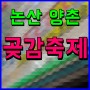 논산 양촌곶감축제 신미래 용호 축하공연 불꽃놀이 행사까지