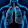 마이코플라스마 폐렴균 성인도 전염될까?