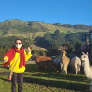 친구들과 뉴질랜드여행 제3탄 오클랜드 와이토모/로토루아