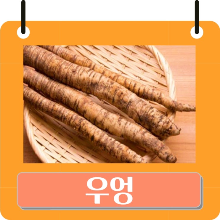 우엉 효능및 부작용, 영양성분, 우엉차 끓이는법, 물대신 우엉차, 하루 권장 섭취량 : 네이버 블로그