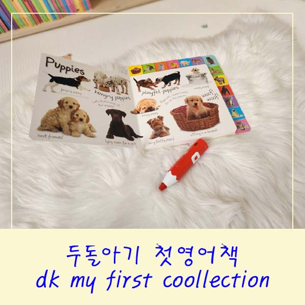두돌아기 첫영어책 dk my first collection 세이펜 음원 받기 : 네이버 블로그