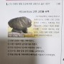 청동기시대 : 고창고인돌유적 반달돌칼 심경 중국화폐 (오수전 화천) 가락바퀴 뼈바늘