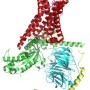 G 단백질(G protein)과 G 단백질결합수용체(GPCR)
