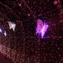 연말여행지 추천 : 가평 아침고요수목원에서 펼쳐지는 환상적인 별빛축제