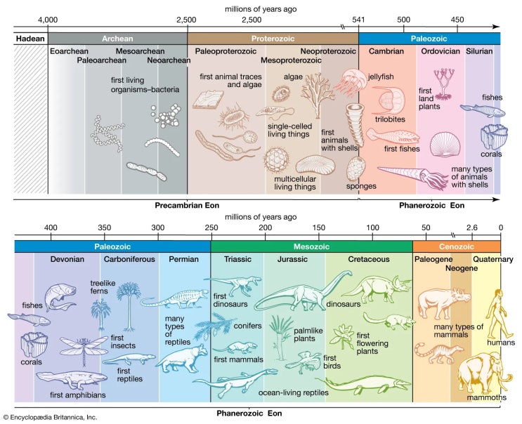 진화의 개념과 현대 진화론(Concept of Evolution and Modern Evolutionary Theory ...