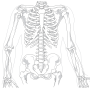 골육종 - 골육종은 뼈에 발생하는 악성 종양!