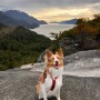 Canada Vancouver Life - Juna Bridal Shower, Howesound trail, and Nov Daily Routine (feat.Tesla)