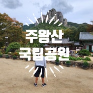 [경북 청송] 주왕산국립공원 용추협곡 정든식당 단풍명소