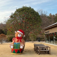 대구 근교 성주 크리스마스 카페 <하우스소서> 포토존 가득해