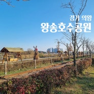 경기도 의왕 가볼만한곳 왕송호수공원 둘레길 산책 데이트 코스 노을 야경 명소