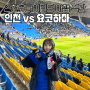 첫 아챔직관! 인천 vs 요코하마 AFC챔스 아챔 231128 인천축구전용경기장 E석