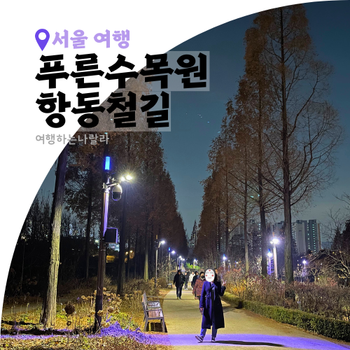 서울 구로 푸른수목원 항동철길 주차 항동푸른도서관 밤...