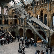 영국 런던 '자연사 박물관' 도슨트 투어