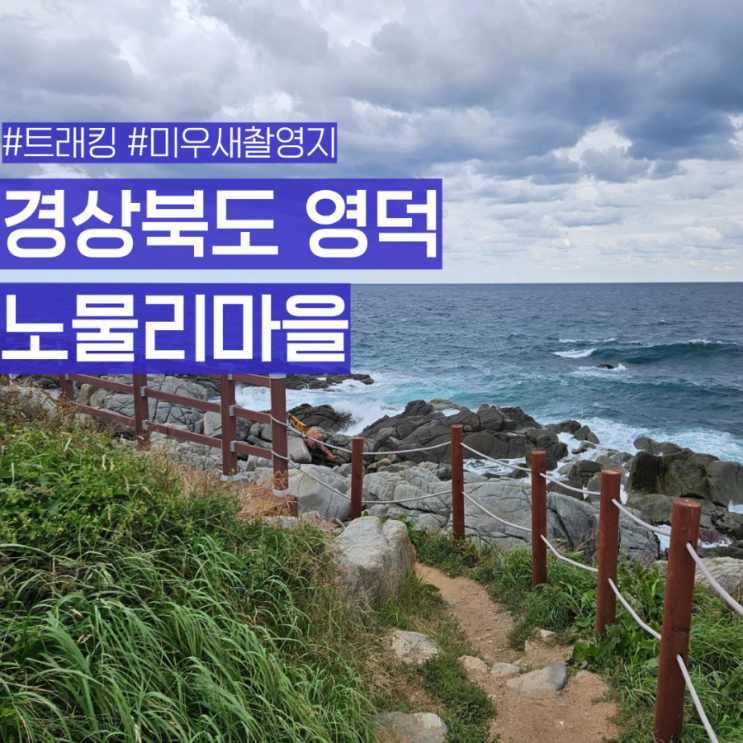 경북 영덕 블루로드 트래킹 여행 숨은 관광지 노물리마을 산책 코스 미우새 촬영지 : 네이버 블로그