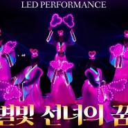 LED 선녀복 의상제작 ( led fairy )