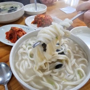 먹을까 말까/ 점심 메뉴 추천! 진~한 육수가 매력적인 칼국수 맛집! 용인 "엄마 손칼국수"