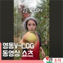 영동과일나라 유튜브 쇼츠 '영동V-LOG' 영상 업로드!