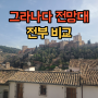 [그라나다 여행] 알함브라 궁전이 잘 보이는 전망대 비교 (feat.그라나다야경스팟)