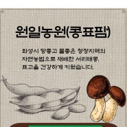 국산 서리태콩의 효능 알아볼까요?