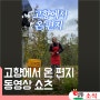 영동과일나라 유튜브 쇼츠 '고향에서 온 편지' 영상 업로드!