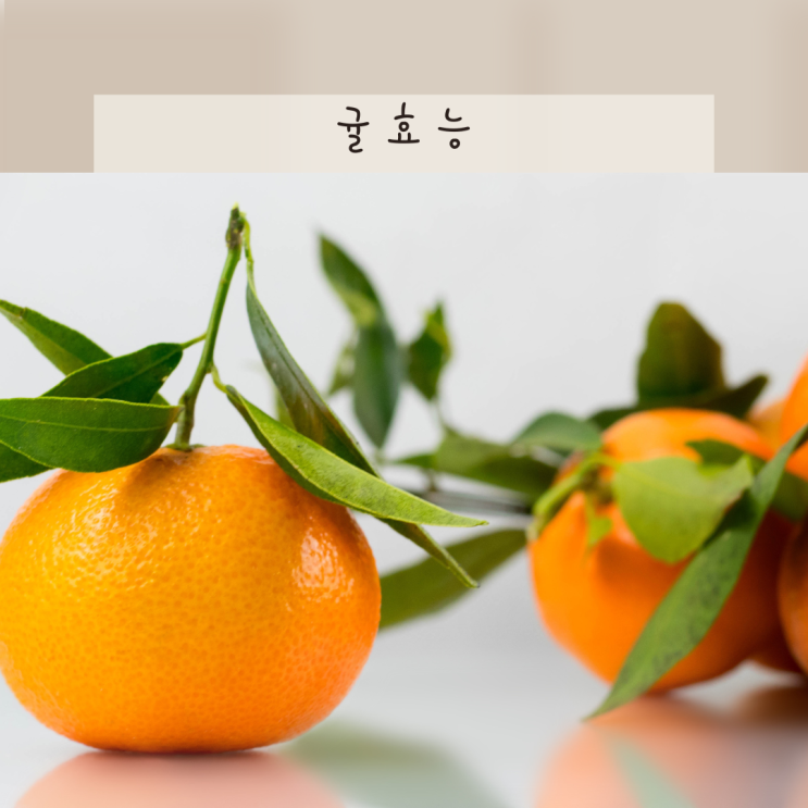 귤효능 귤껍질 귤피차 효능 1개 칼로리 주의할 점 있을까 : 네이버 블로그