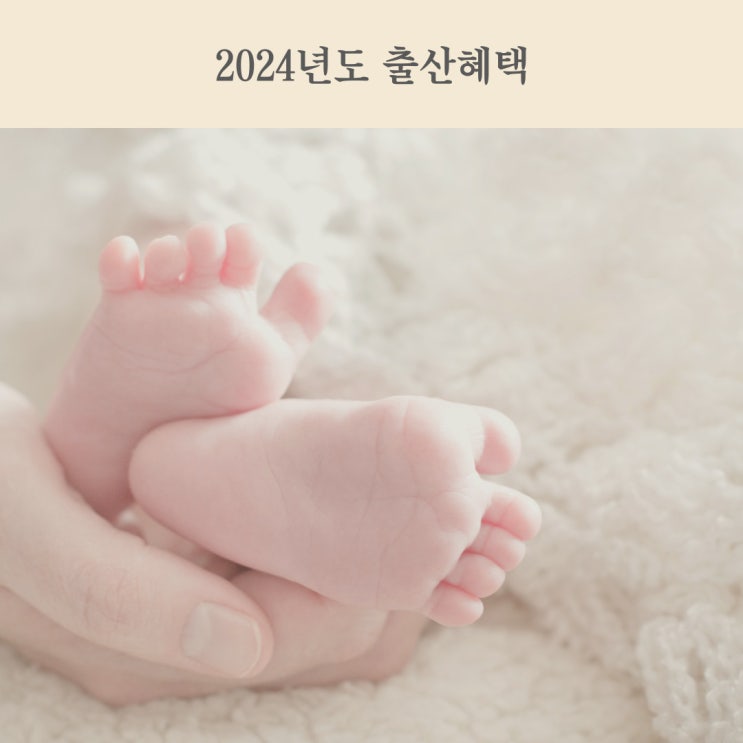 24년도 출산 혜택 야무지게 챙기기 (2024년 출산혜택) : 네이버 블로그
