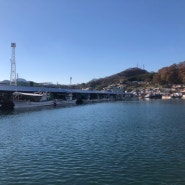 신선함의 상징, 삼척 제16호오양수산에서 만난 푸짐한 바다의 향연