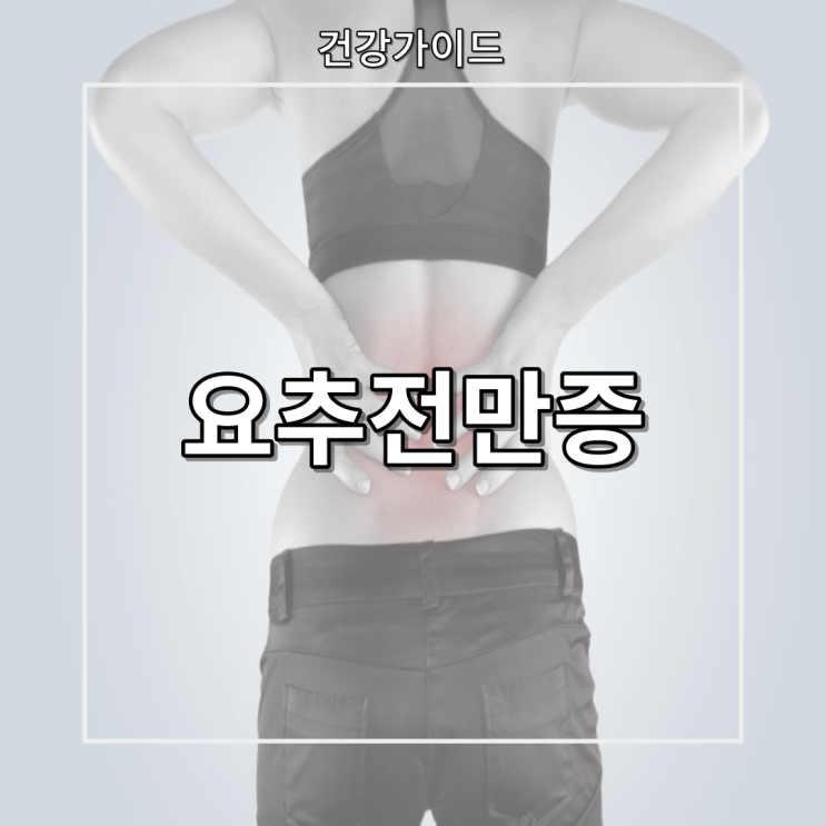 척추 요추 전만통증 허리 운동 방법 [해운대자세교정] : 네이버 블로그