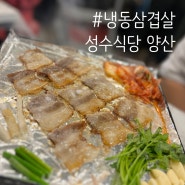 맛집 ) 추억의 레트로 감성 냉동 삼겹살 양산 성수식당