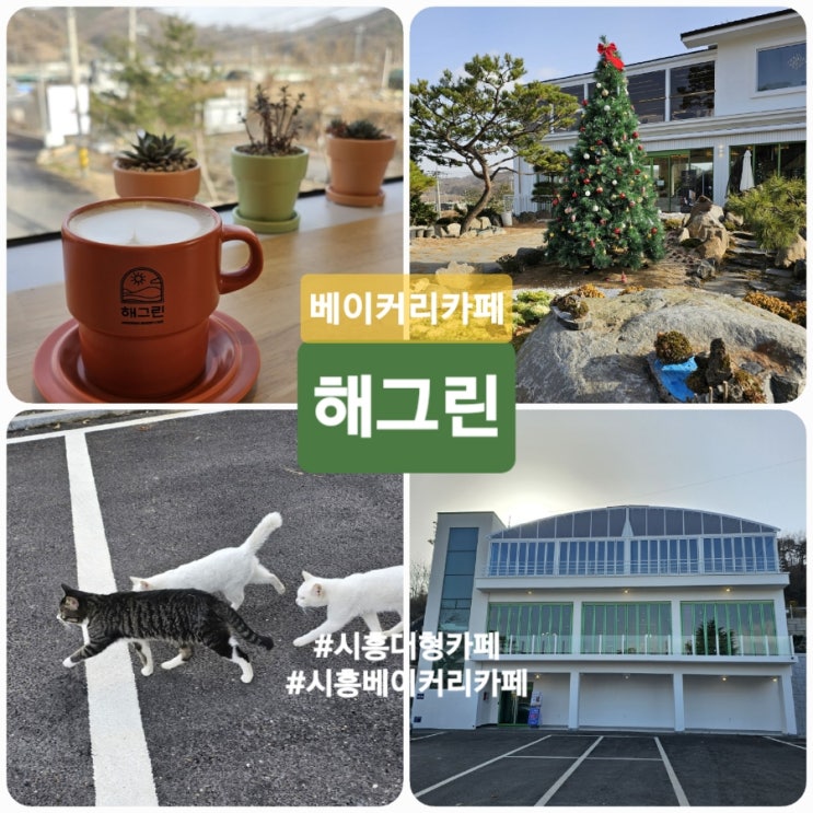 시흥대형카페 시흥핫플 신상카페 해그린 베이커리카페