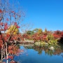 교토 단풍 명소( 청수사, 난젠지 수로각, 텐쥬안 액자 정원, 젠린지 에이칸도 )/아사카의 탑 포토존/ 블루 보틀