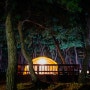 [Camping] 겨울바다 보러 강릉으로 - 연곡솔향기캠핑장