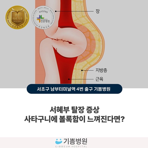 서혜부 탈장 증상 사타구니에 볼록함이 느껴진다면? : 네이버 블로그