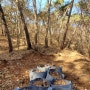 천연퇴비 솔잎부엽토 긁어모아 블루베리 나무 화분에 15cm 두께로 멀칭하기