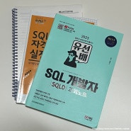 SQL 개발자 (SQLD) 자격증 취득 공부 방법 정리 (비전공, 노베이스, 독학, 1개월, 유선배, 노랭이, 기출)