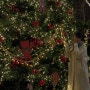 크리스마스 트리 사진 꿀팁 독사진 찍는 방법, 라부띠끄드해리 현대백화점 크리스마스트리 위치 시간, 포즈 추천