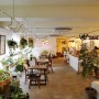 창원 가로수길 카페 가든어스 식물 카페
