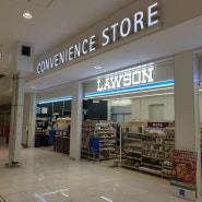 편의점 털기(LAWSON)