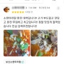 곤지암한우소머리국밥 길음점으로 보는 배달앱 생생후기!
