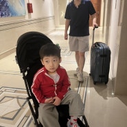 5살 아이와 단둘이 오스트리아 여행기