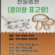 서리태 재배 와 효능 국산콩 서리태 콩잎이 떨어지다