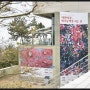 신안군 섬 예술전시회. 애기동백꽃 회화전 개막