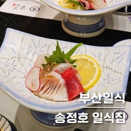 서면일식 / 맛과 분위기가 완벽했던 맛집, 송정호일식 후기