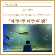 [경남 사천시]사천아쿠아리움 주차장꿀팁&사진포인트 추천 •아라마루 아쿠아리움