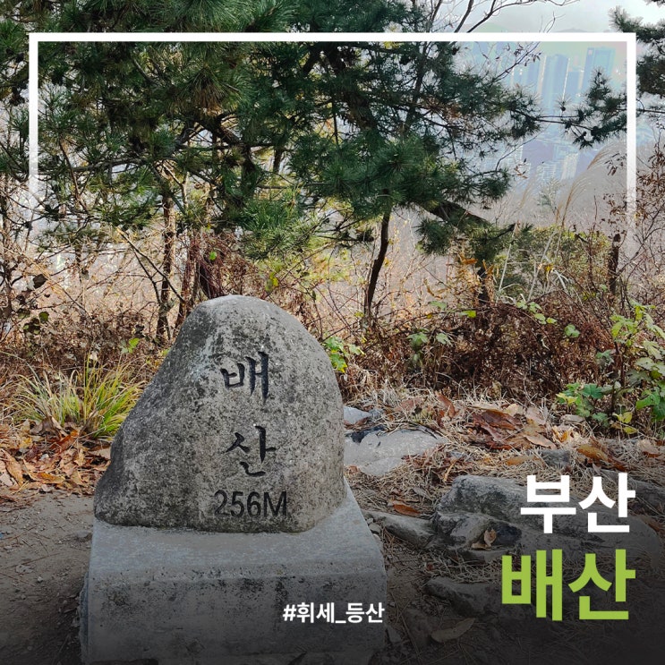 초보자도 가능한 부산 배산 쉬운 등산 코스 : 네이버 블로그